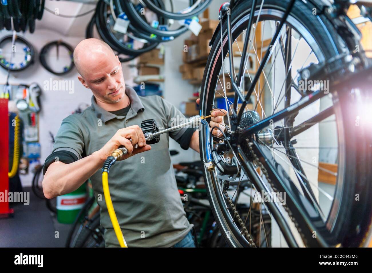 Bicycle mechanic working in bike shop Stock Photo Alamy