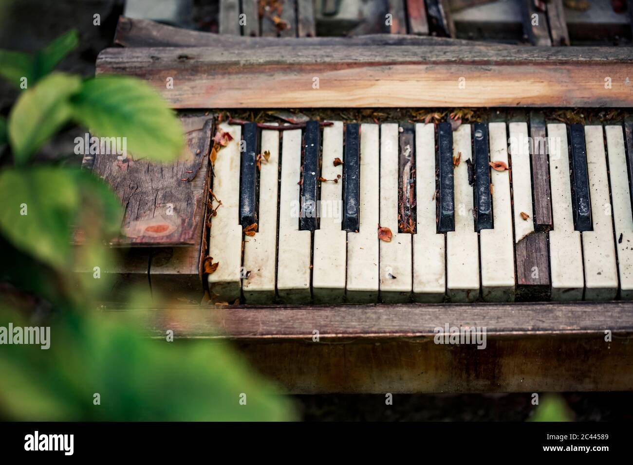 Old broken piano in backyard Stock Photo Alamy