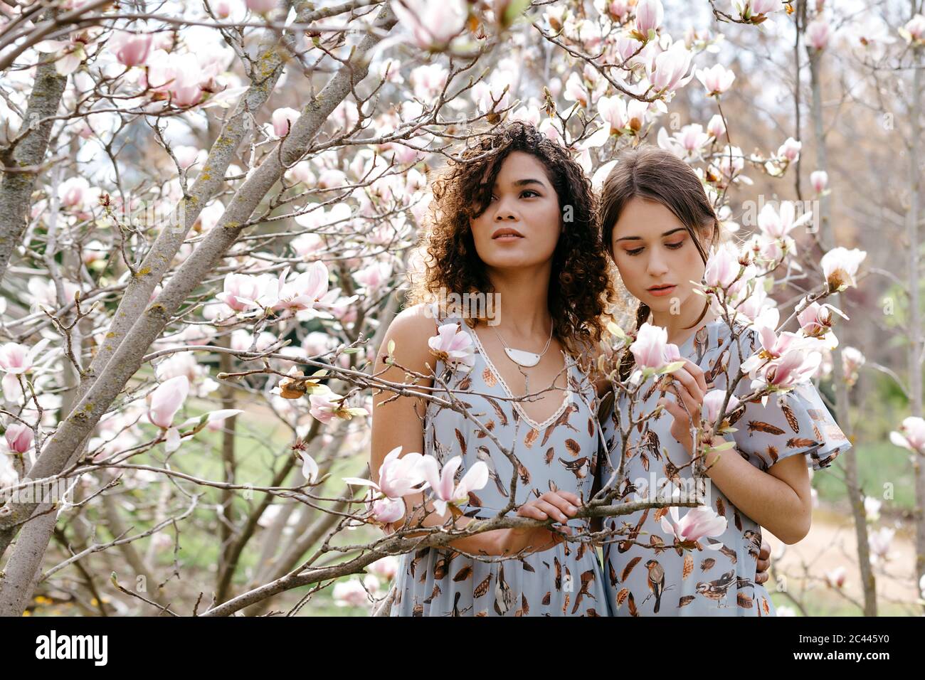 Sisters looking at flowers while standing in park during springtime Stock Photo