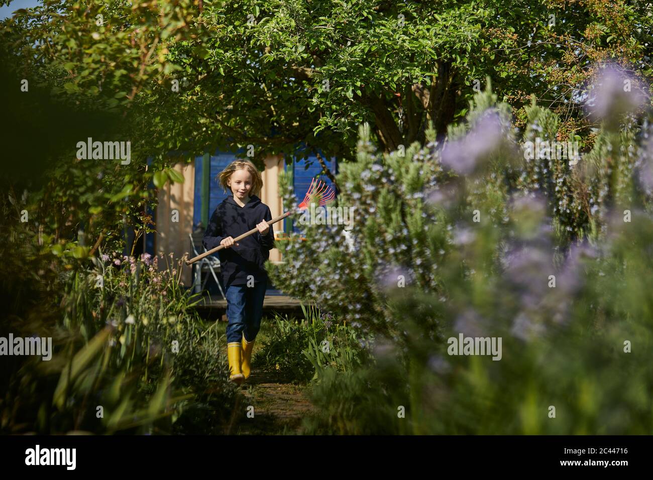 Girl in allotment garden holding a rake Stock Photo - Alamy