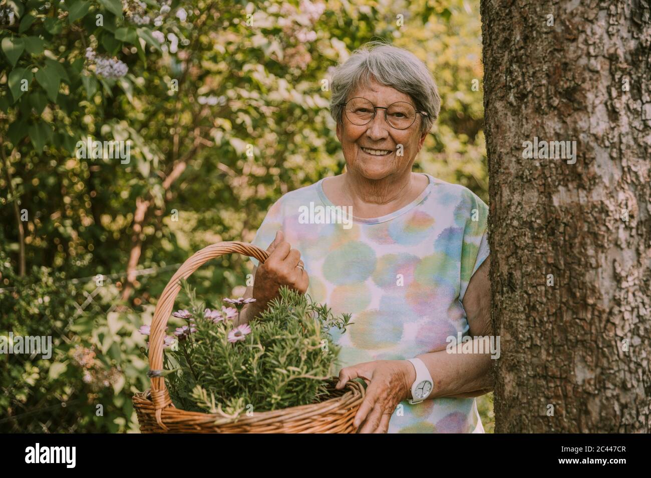 Smiling retired senior woman holding basket with flowers and herbs while standing by tree at garden Stock Photo