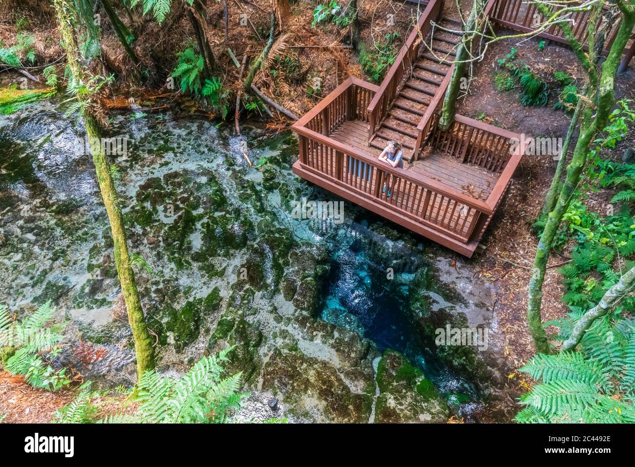 New Zealand, Oceania, North Island, Rotorua, Hamurana Springs Nature ...