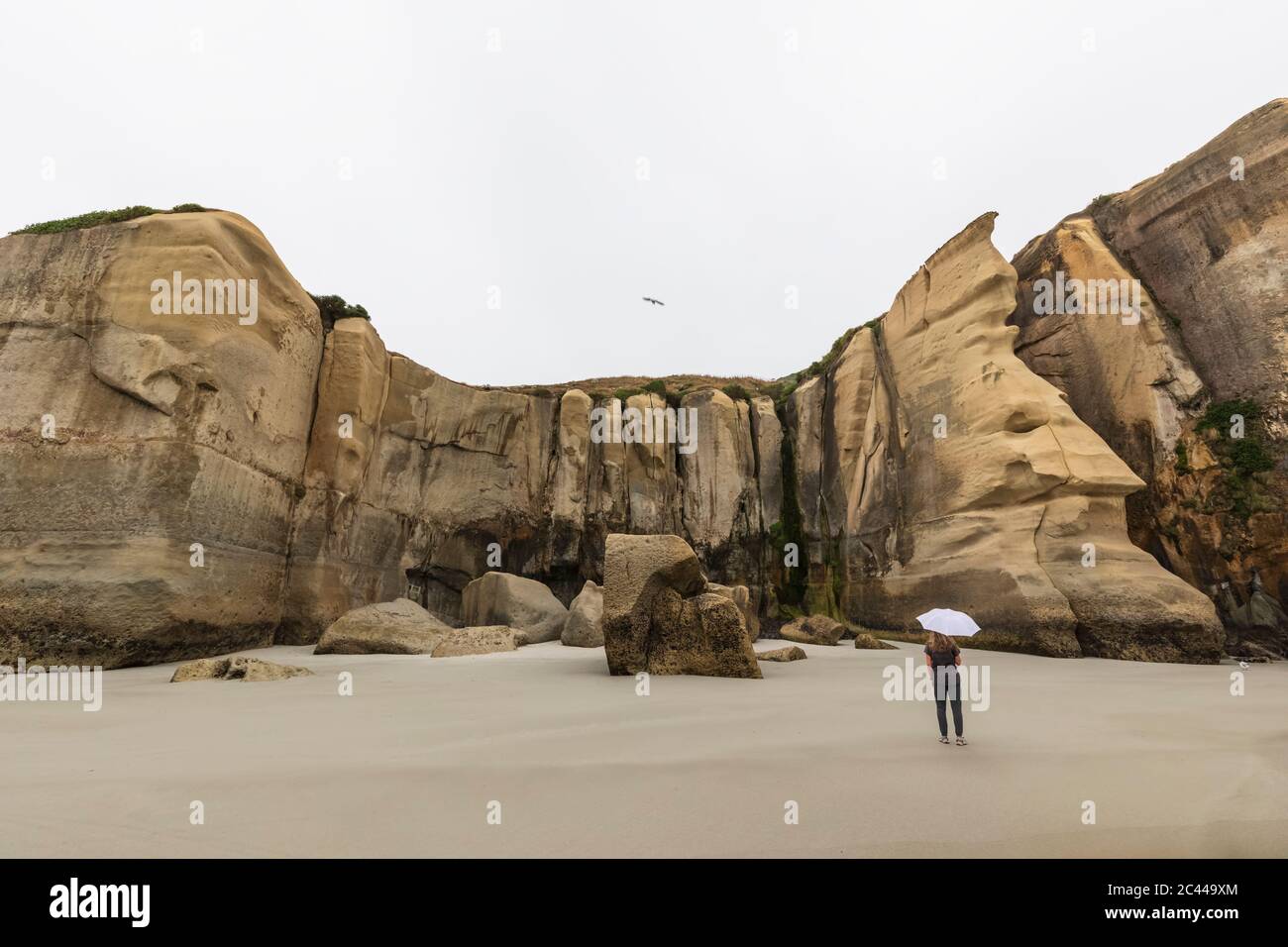 New Zealand, Oceania, South Island, Otago, Dunedin, Woman with umbrella
