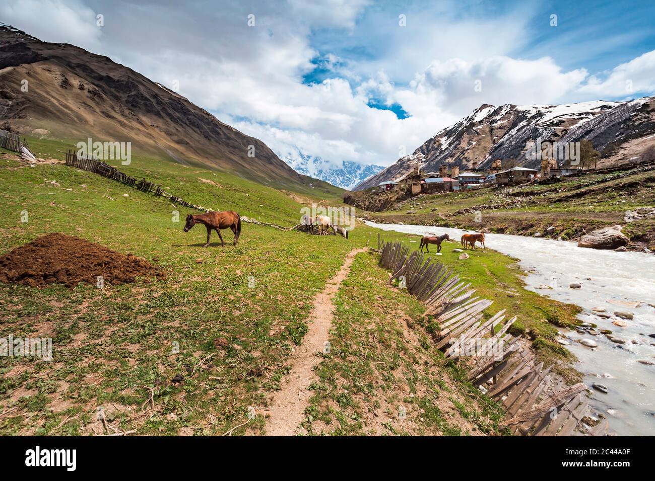 Georgia, Svaneti, Ushguli, Horses grazing along bank of Enguri River with medieval village in background Stock Photo