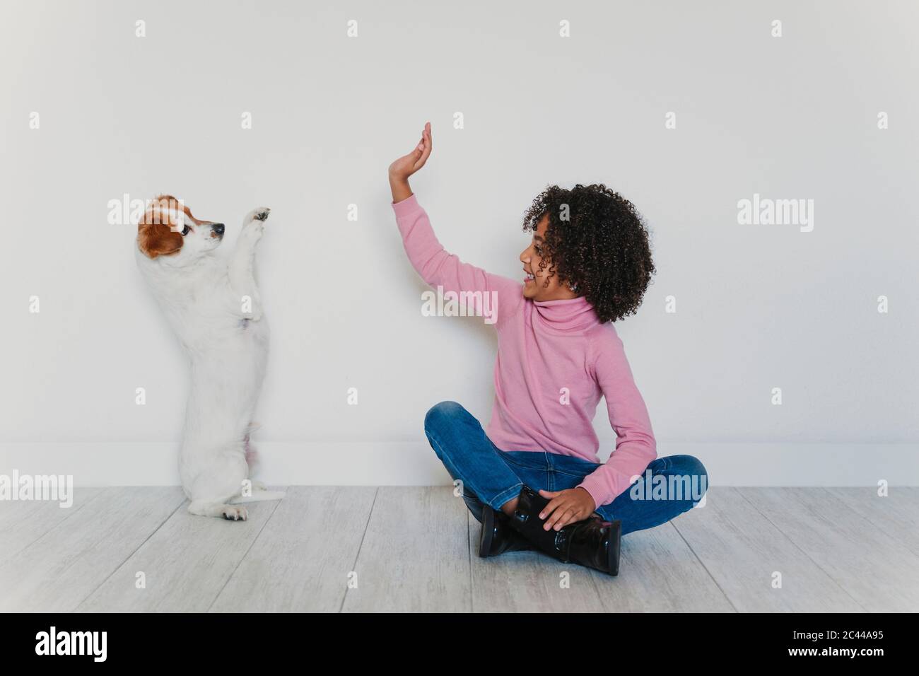 Smiling little girl sitting on the floor with her dog Stock Photo - Alamy