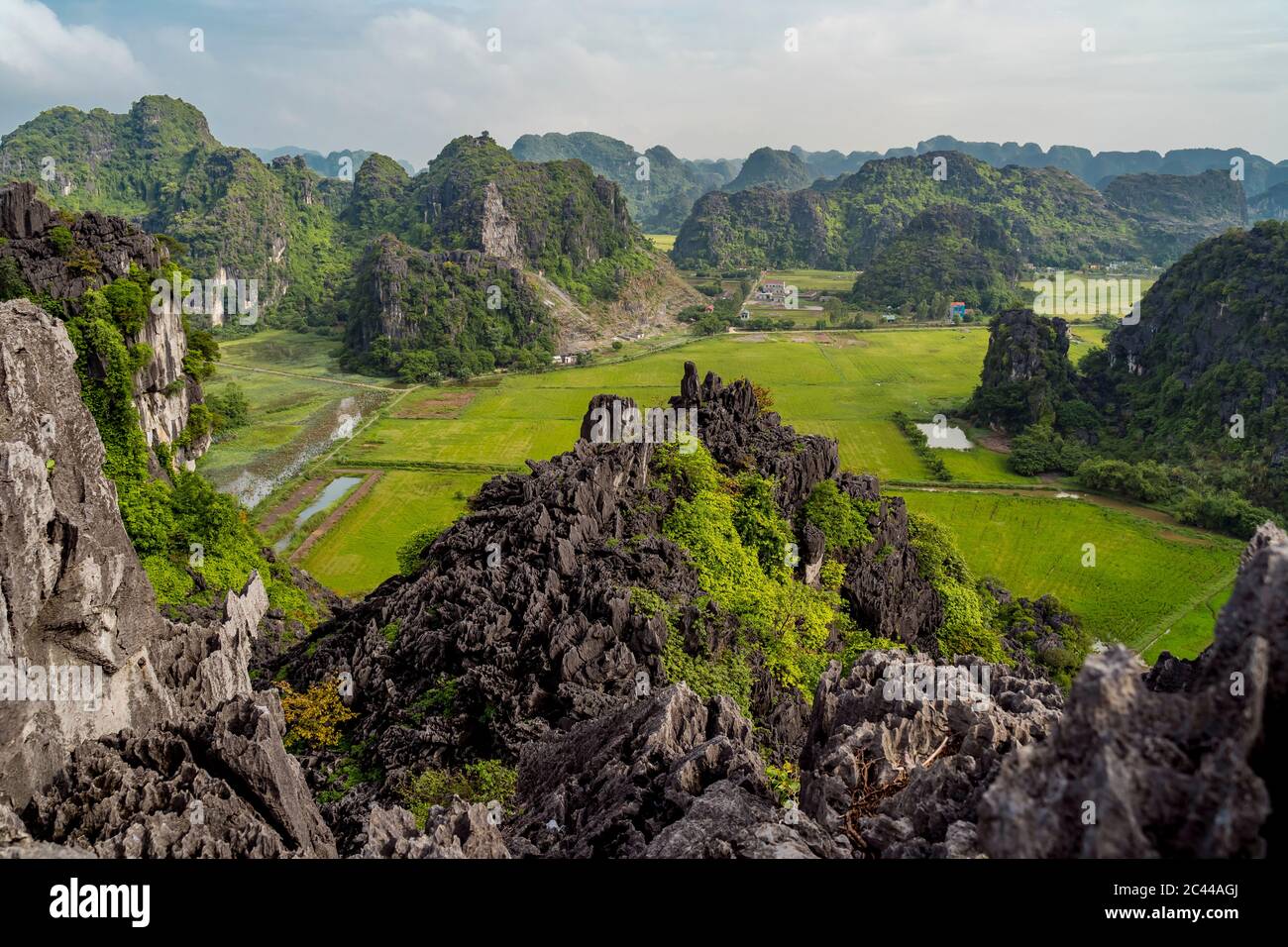 Vietnam, Ninh Binh Province, Ninh Binh, Scenic view of forested karst formations in Hong River Delta Stock Photo