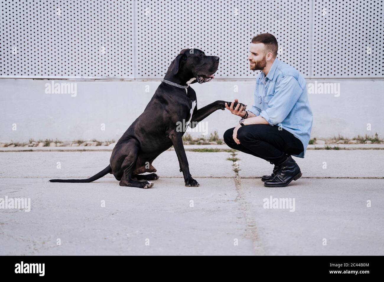 Young man teaching his dog outdoors Stock Photo