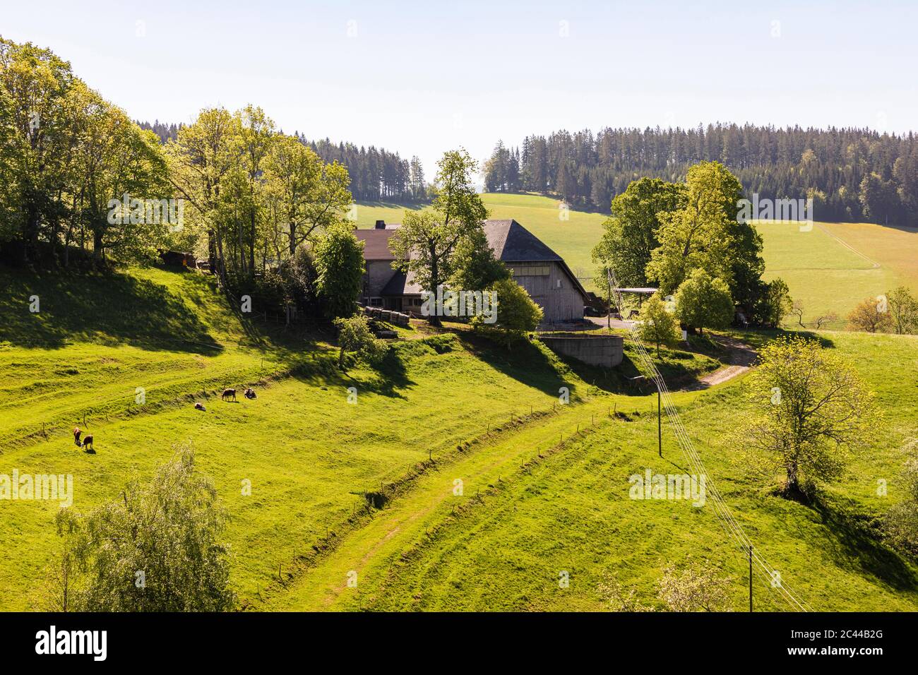 Germany, BadenWurttemberg, Sankt Peter, Farmhouse in Black Forest during spring Stock Photo Alamy