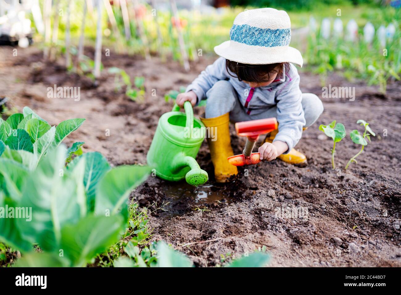 Full length of preschool girl crouching while holding watering can and shovel at orchard Stock Photo