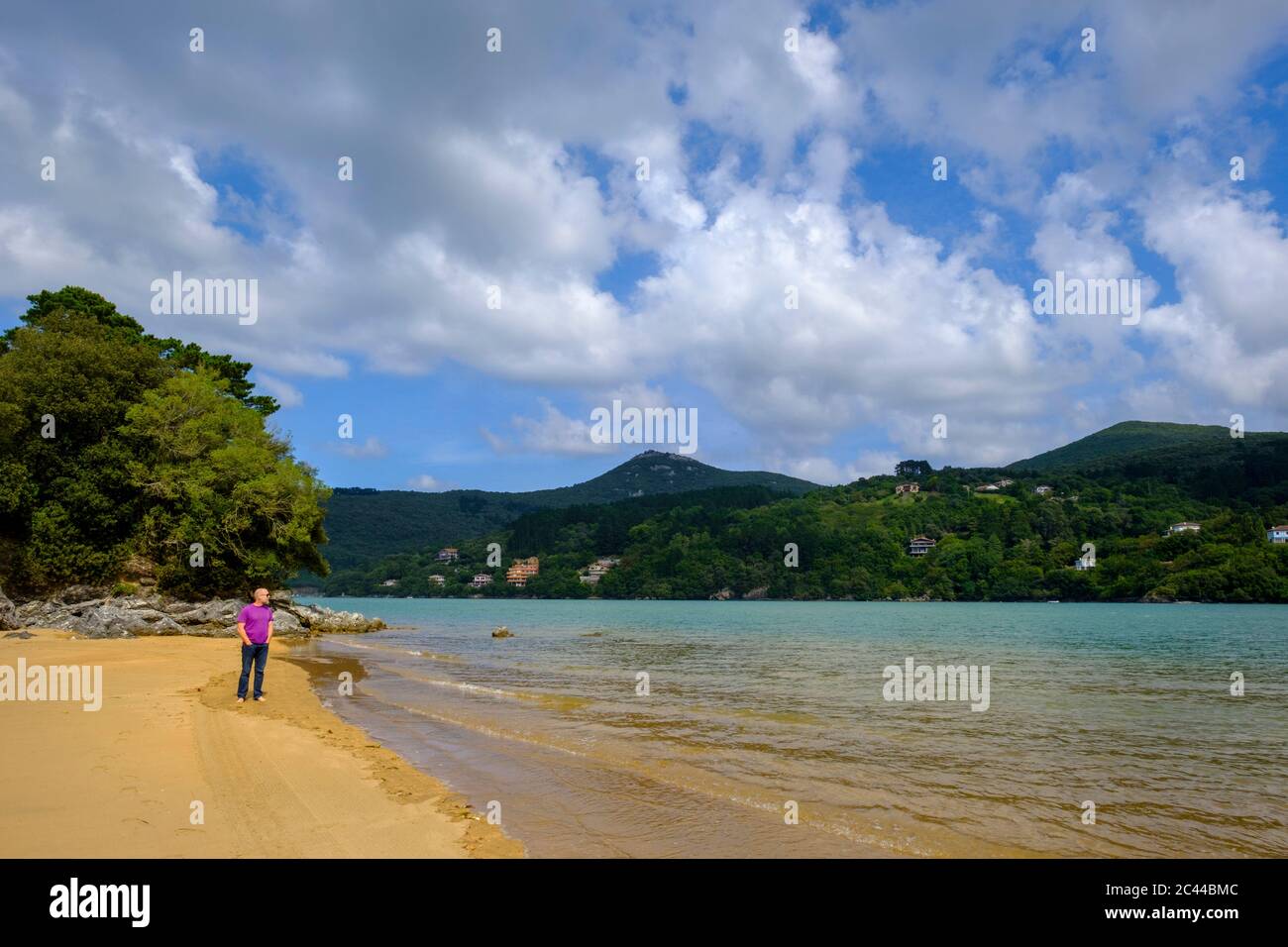 Spain, Biscay, Guernica, Man admiring landscape of Urdaibai Estuary Stock Photo