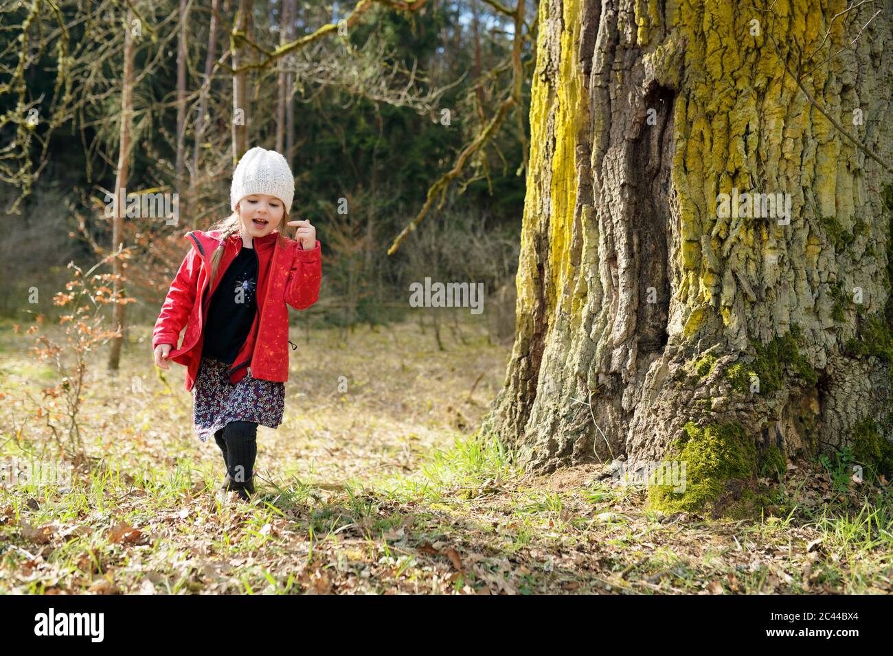 Little girl walking in the woods Stock Photo - Alamy