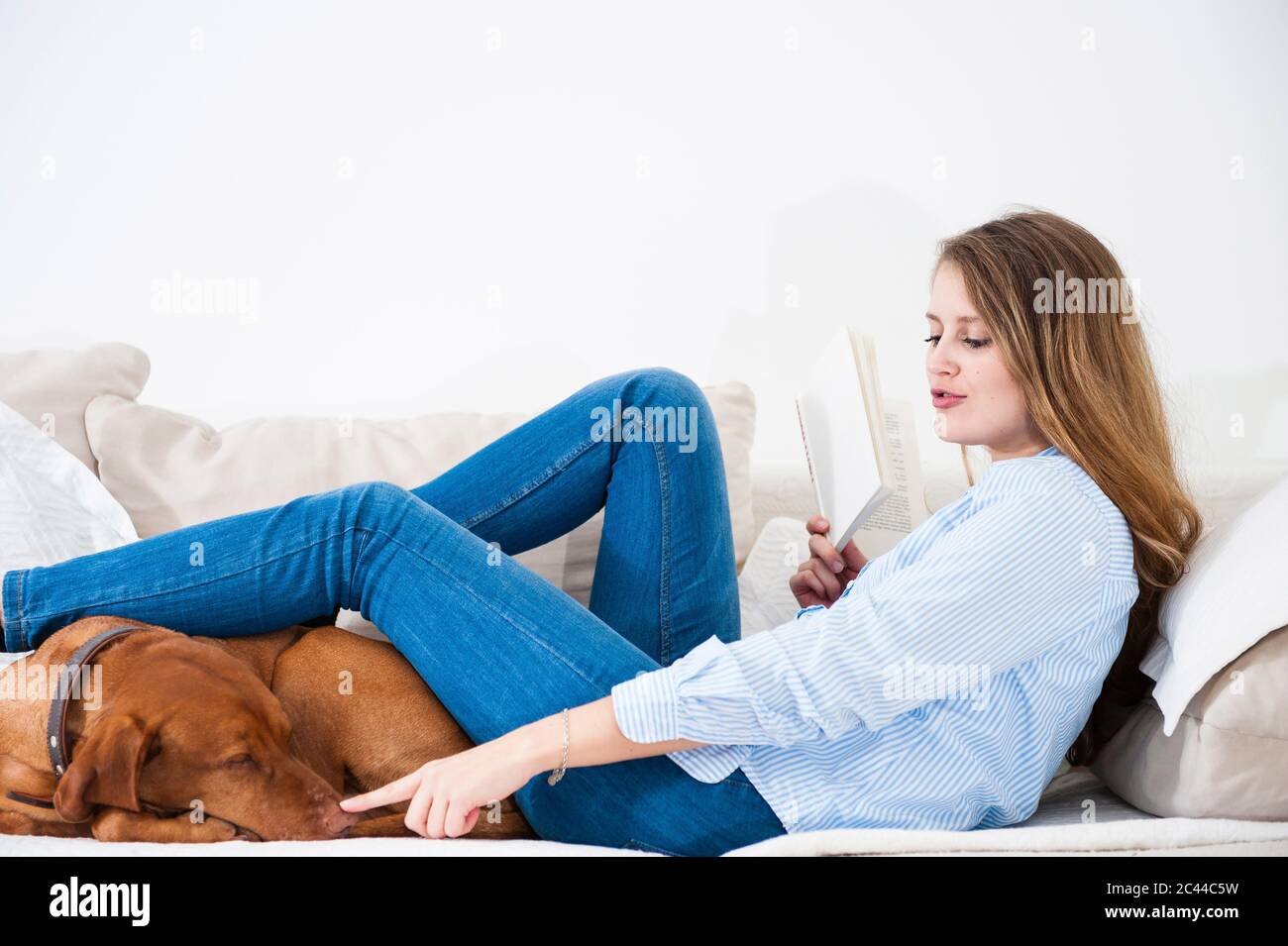 Playful young woman touching dog's snout while sitting with book on sofa at home Stock Photo