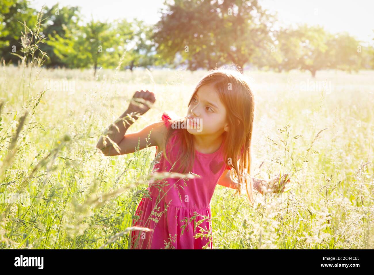 Portrait of little girl standing in summer meadow Stock Photo