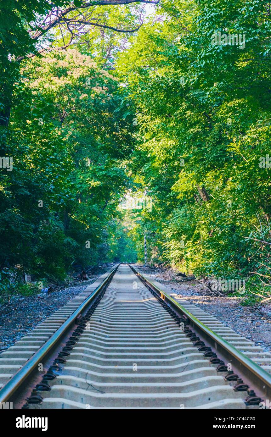 Outdoor green forest and extended railway track Stock Photo