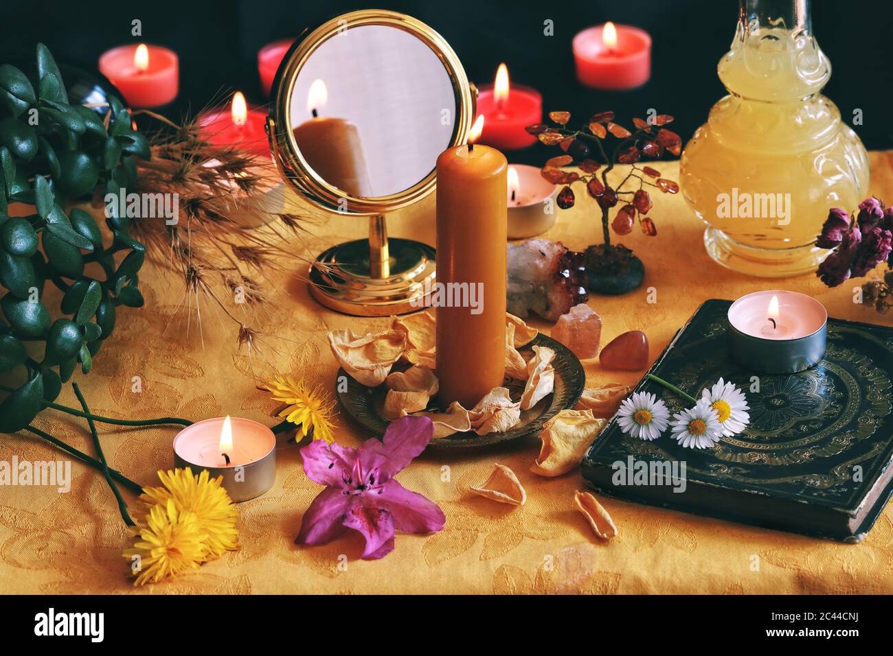 Flower Candle Dry Flowers Stock Photos - 20,520 Images