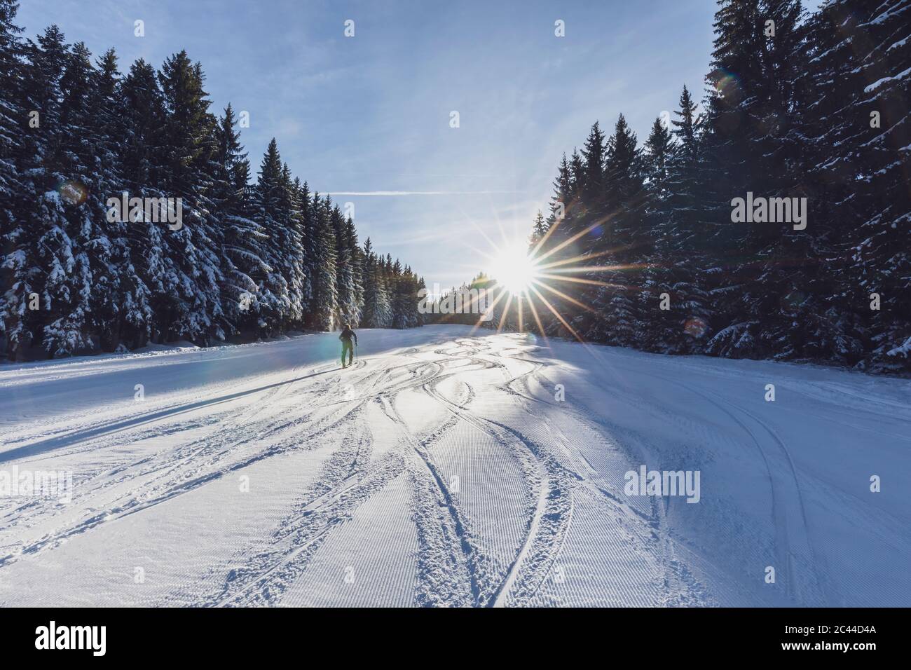 Germany, Bavaria, Reit im Winkl, Female backpacker skiing in winter forest at sunrise Stock Photo