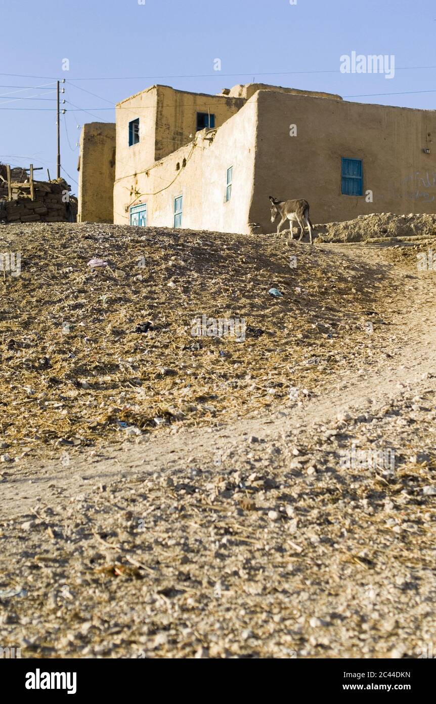 House in Luxor, Egypt Stock Photo Alamy