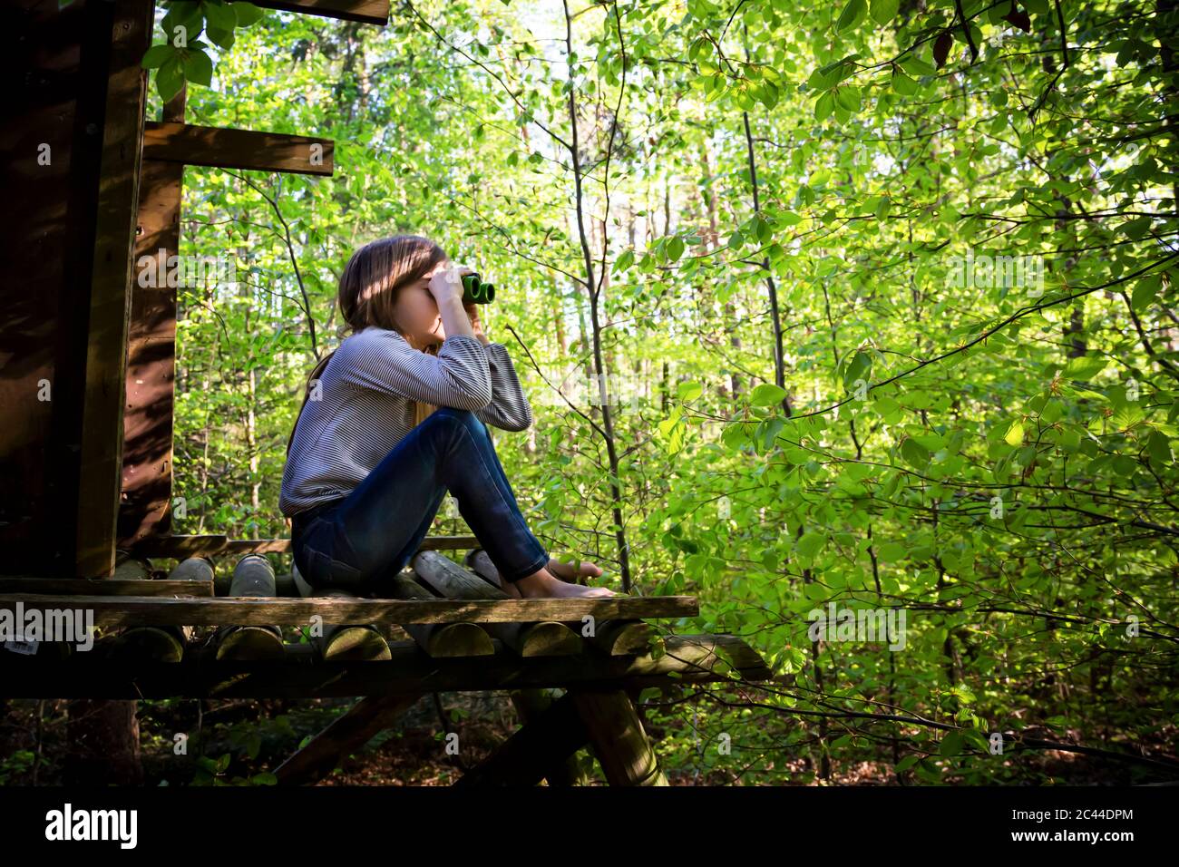 Girl using binoculars in forest Stock Photo Alamy