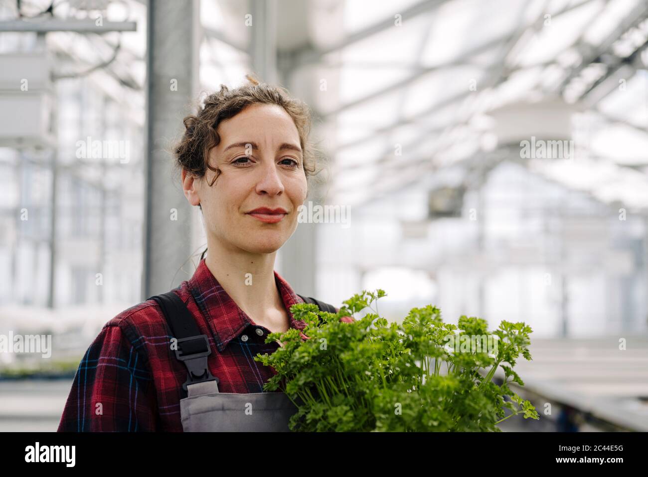 Portrait of confident woman with parsley plant in greenhouse of a gardening shop Stock Photo