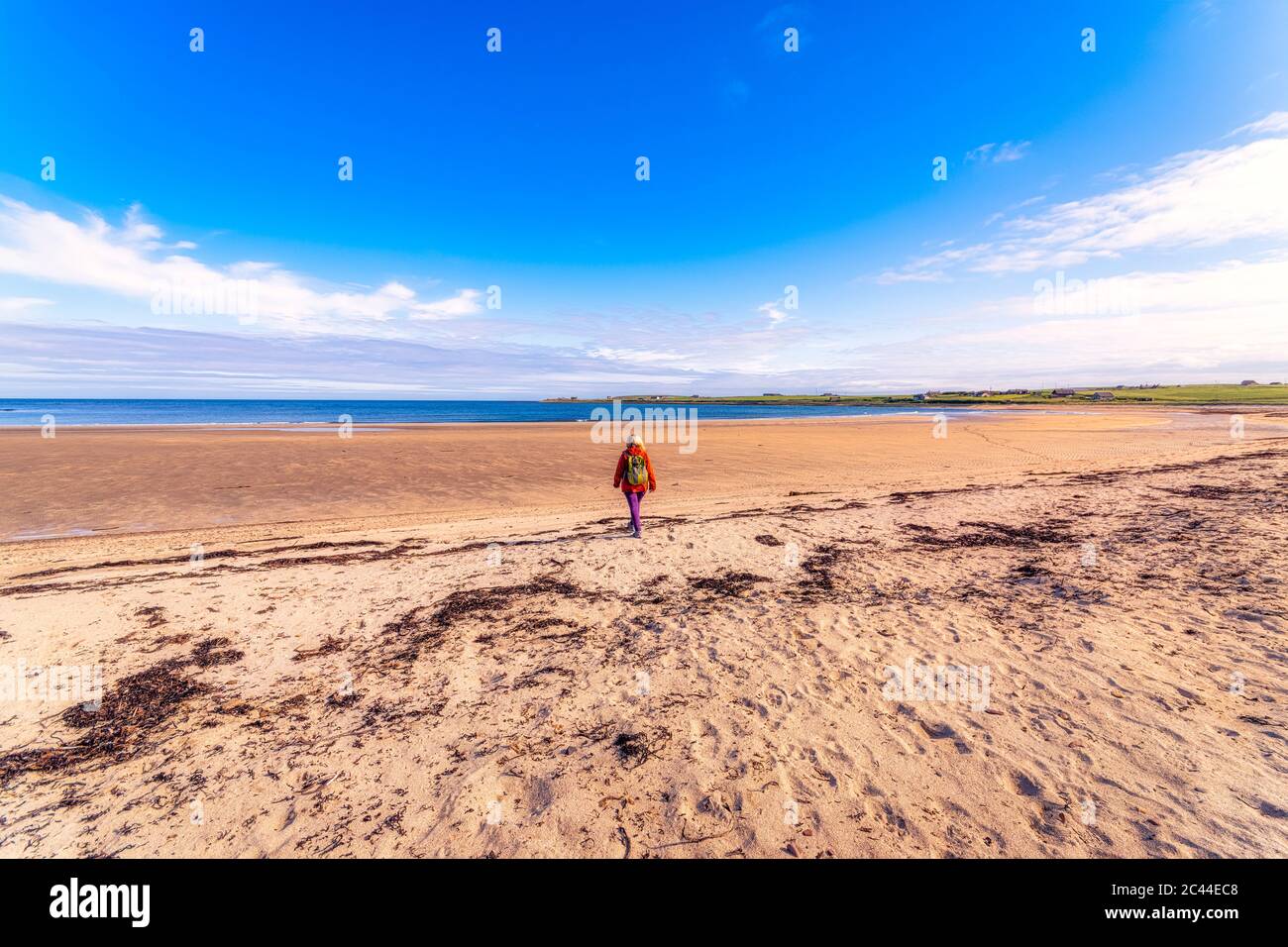 Scotland, Orkney Islands, South Ronaldsay, Rear view of woman walking in landscape Stock Photo