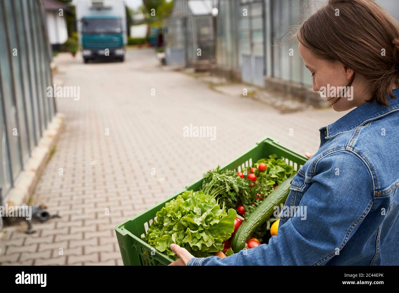 Girl carrying crate with fresh vegetables in plant nursery with van in