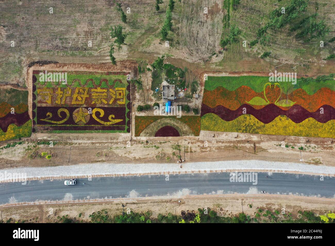 June 24, 2020, Sanxia, Sanxia, China: HenanÃ¯Â¼Å'CHINA-In The Sanmenxia section of the Yellow River in Sanmenxia city, Henan Province, on June 21, 2020, colorful flowers spell out the words ''to guard Mother River'' to express people's love and protection for the Yellow River and the ecological environment along the Yellow River. In recent years, the local government has comprehensively strengthened the protection of the ecological environment along the Yellow River, ensured the long-term stability of the Yellow River and ensured the high-quality development of the Yellow River economic belt, Stock Photo