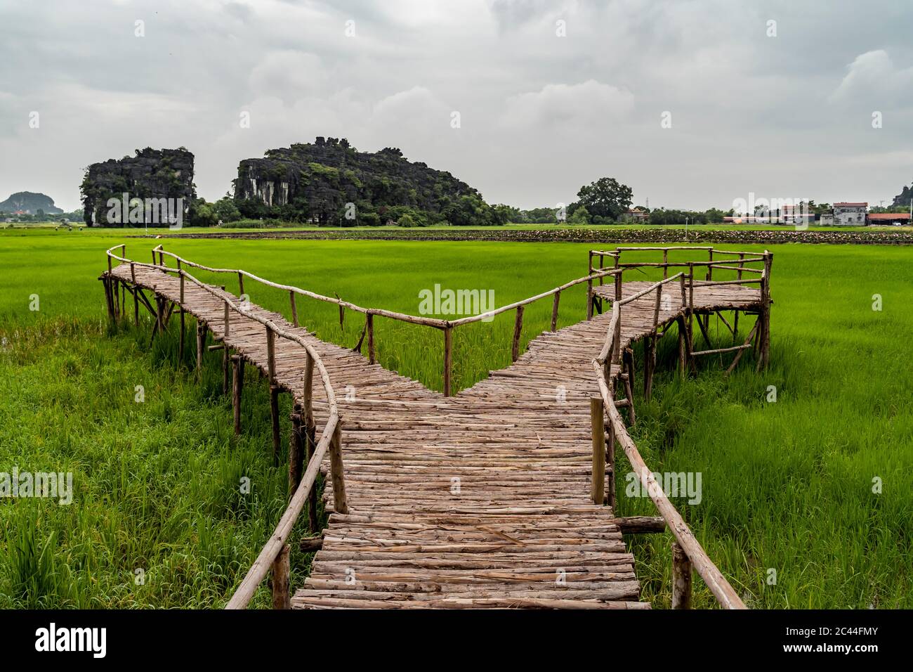 Vietnam, Ninh Binh Province, Ninh Binh, Boardwalk in Hong River Delta Stock Photo