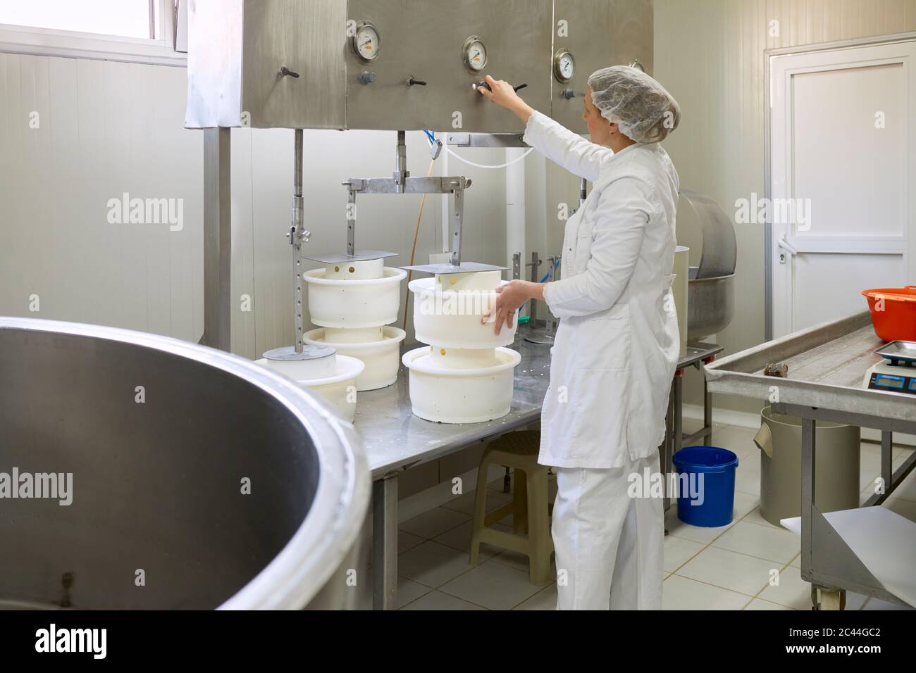 Cheese factory, female worker with cheese molds and press Stock Photo