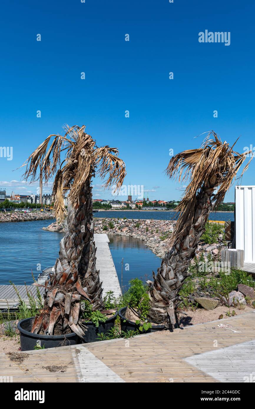 Dead palm trees in Hernesaaren Ranta, deserted outdoor event center by the sea in Helsinki, Finland Stock Photo