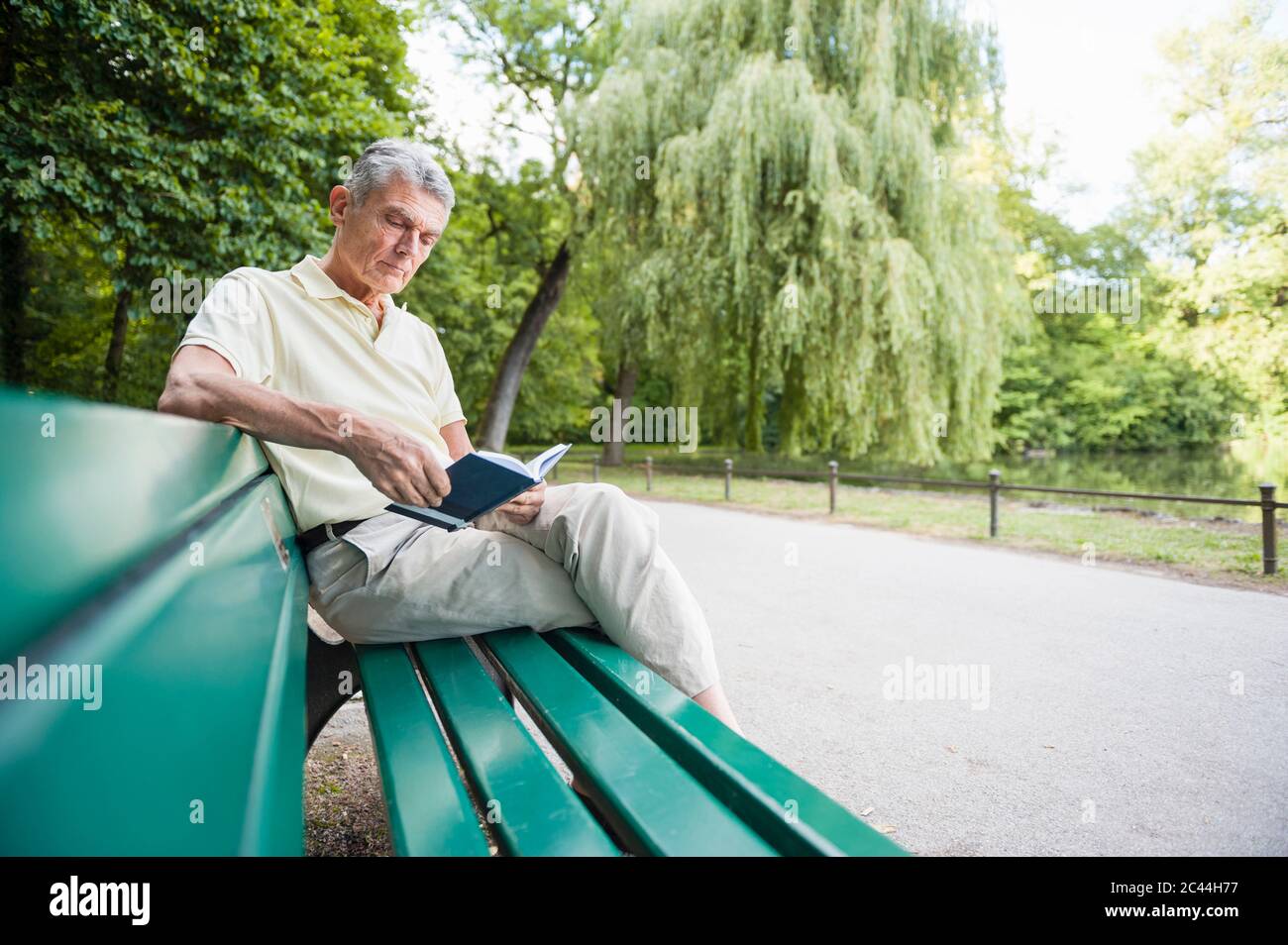 Portrait of senior man sitting on park bench reading a book Stock Photo ...