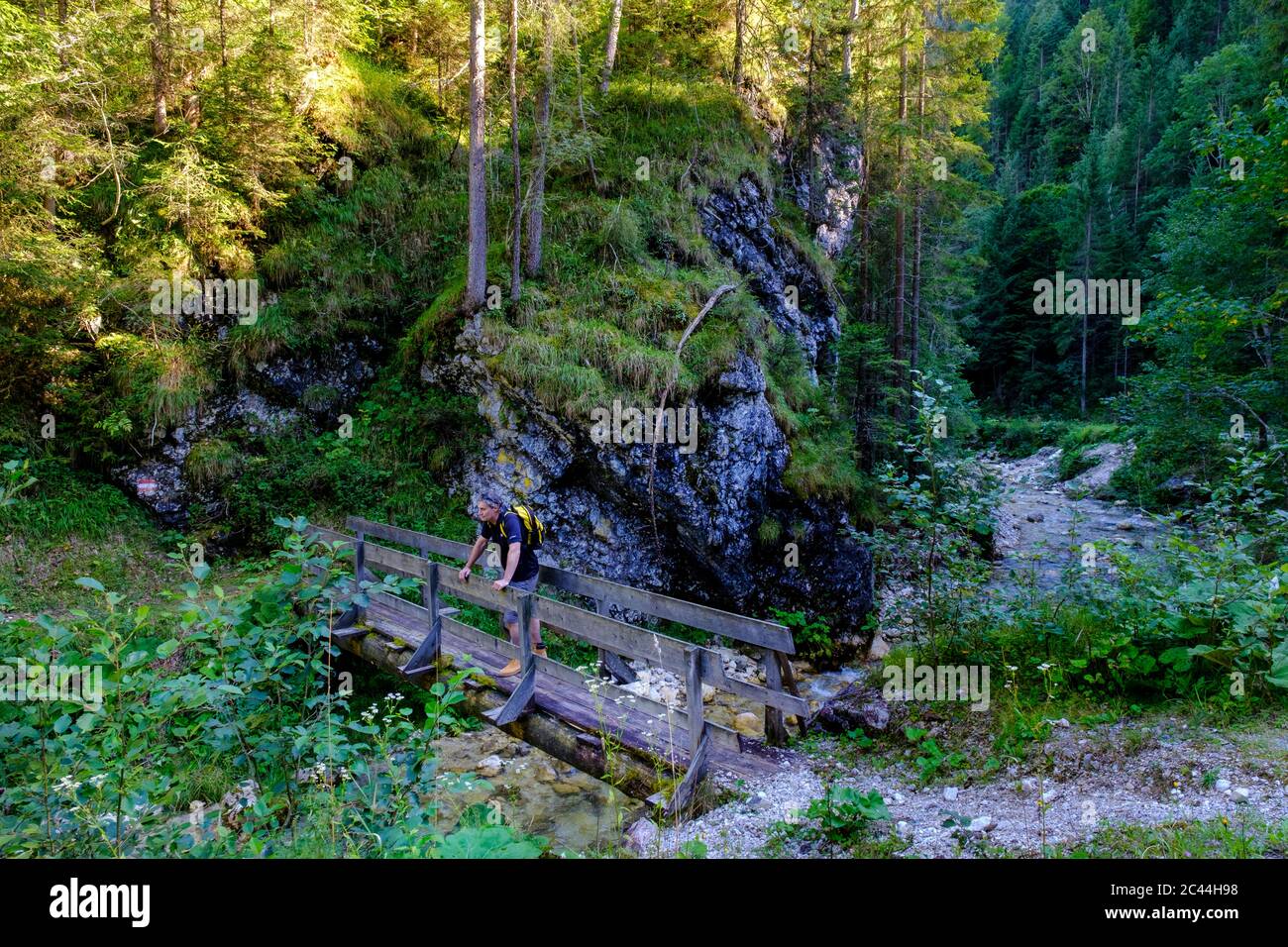 Austria, Tyrol, Steinberg am Rofan, Male backpacker admiring surrounding mountain forest from small narrow bridge Stock Photo