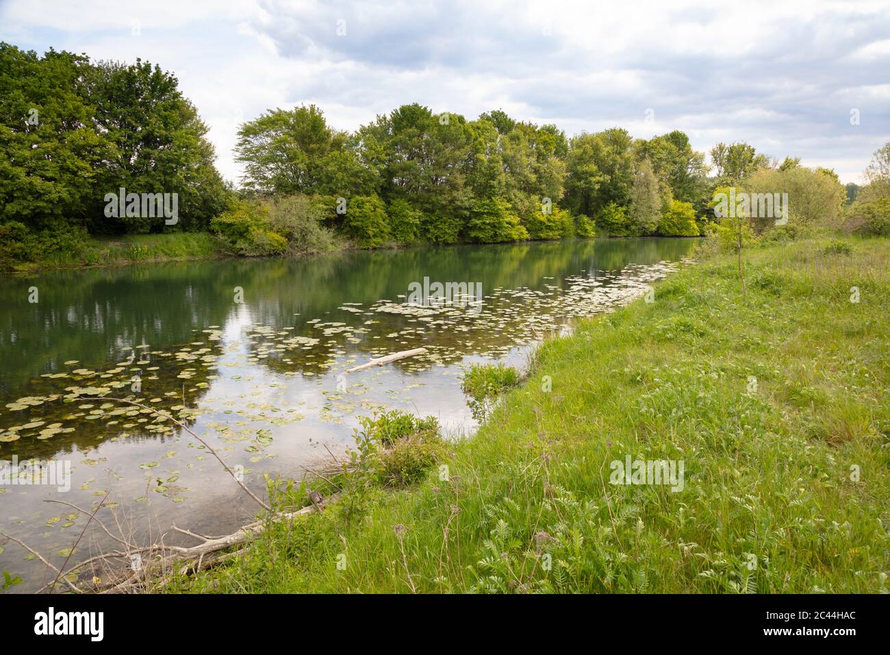 Germany, North Rhine-Westphalia, Werne, Bank of Lippe river in spring Stock Photo