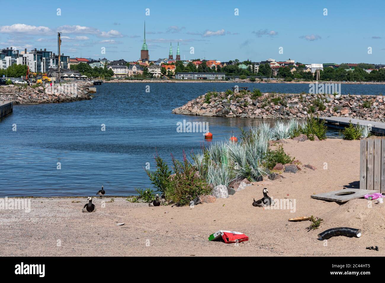 Abandoned sandy beach of Hernesaaren Ranta event center with thrown-away pizza box and barnacle geese in Helsinki, Finland Stock Photo