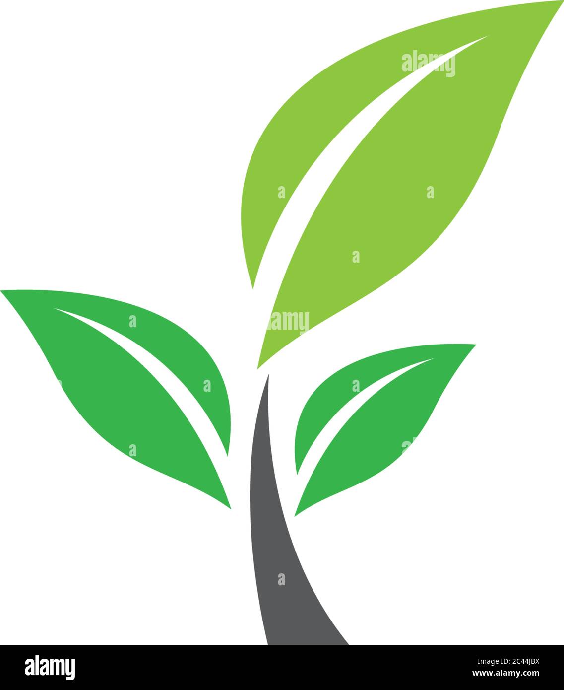 Logos of green leaf ecology nature element vector icon Stock Vector ...