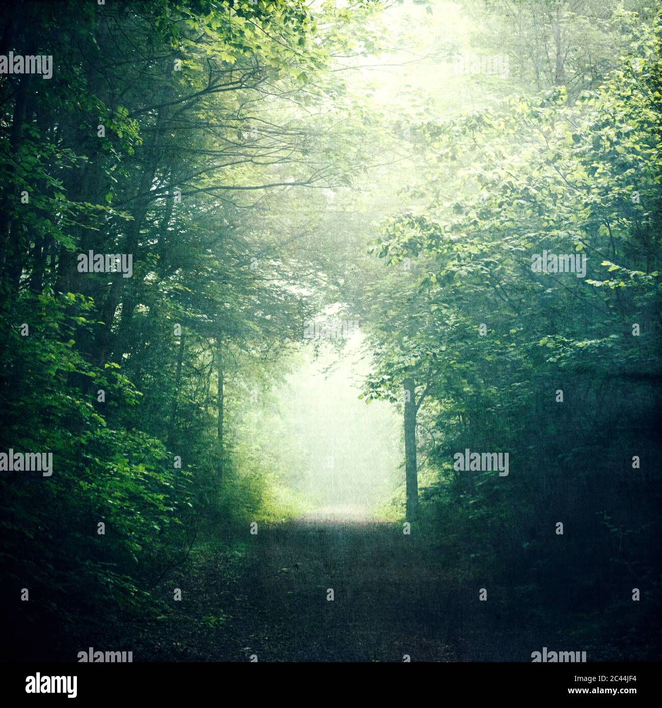 Lush green atmosphere hi-res stock photography and images - Alamy