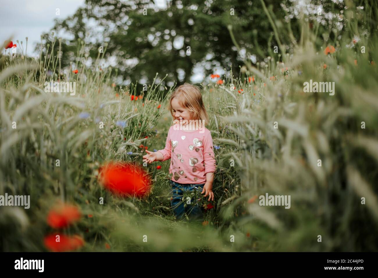 Happy little girl standing in poppy field Stock Photo - Alamy