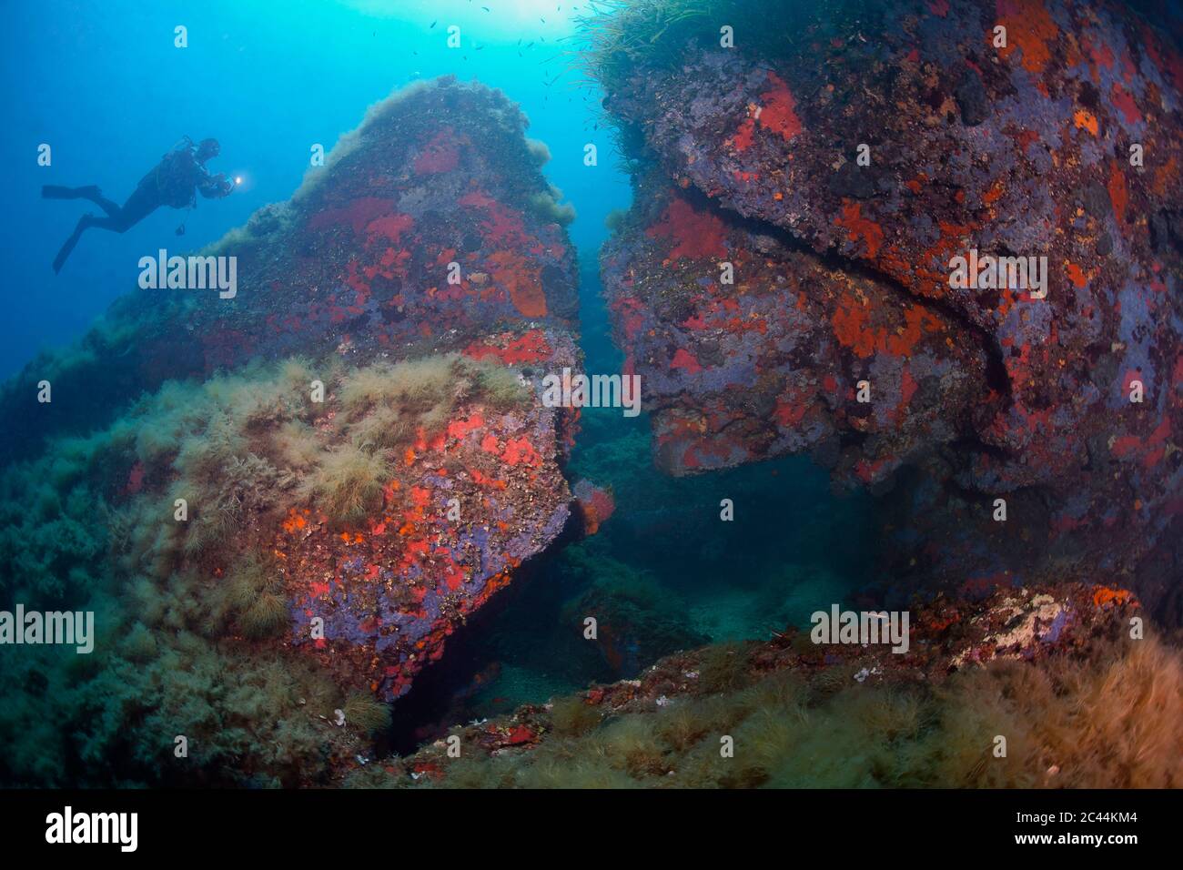 France, Corsica, Scuba diver swimming over rocky sea bottom Stock Photo