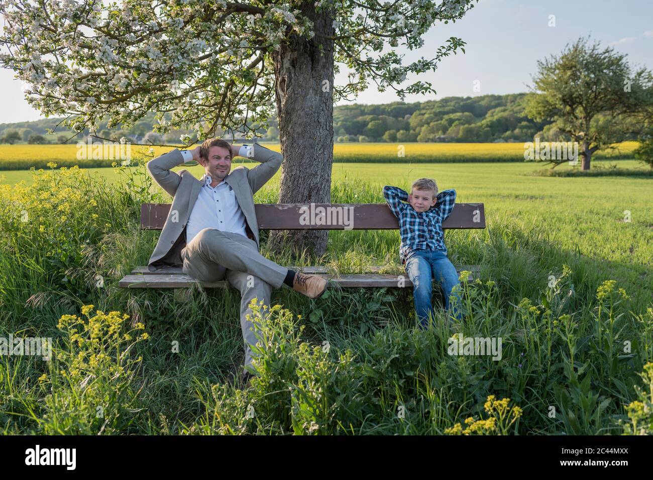 Relaxed man sitting with son on bench at park Stock Photo