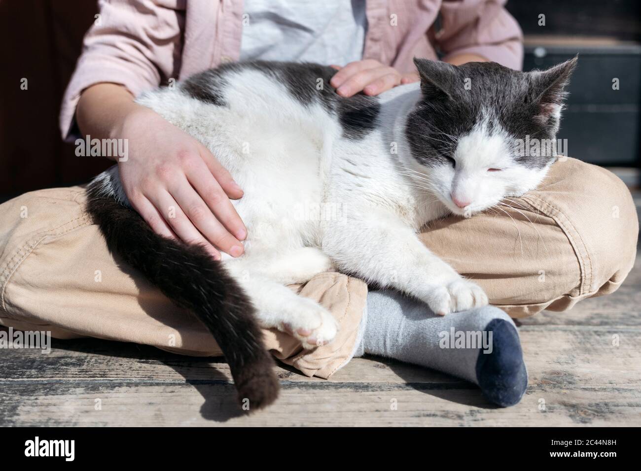 Low section of boy sitting with cross legged while cat sleeping on him, Tarusa, Russia Stock Photo