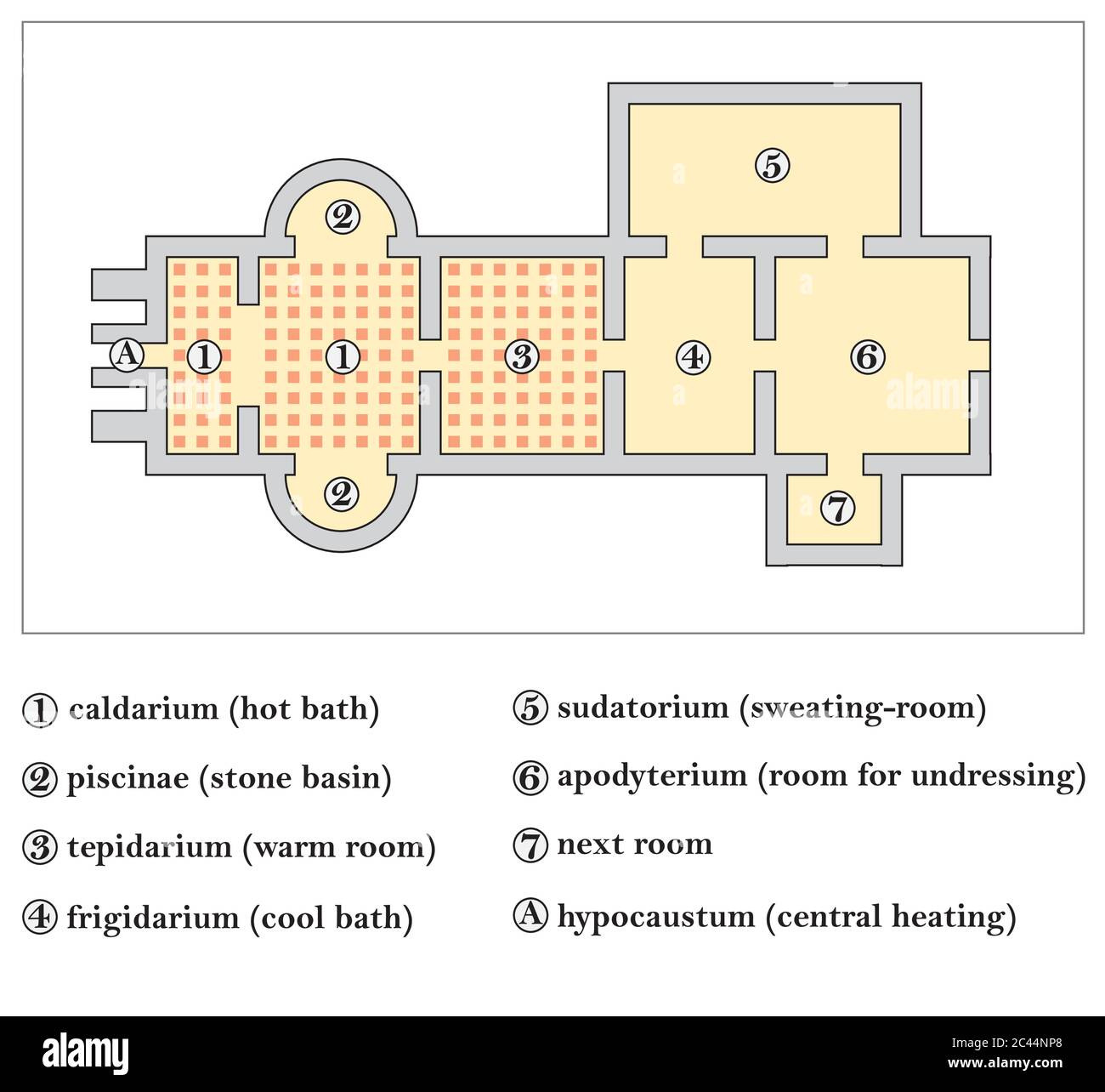 floor plan of a roman bath, Thermae Stock Vector