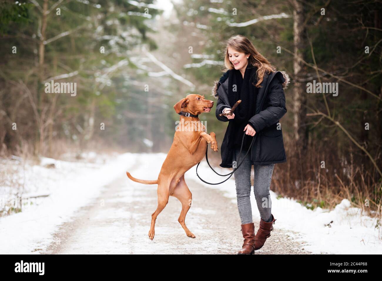 Happy young woman walking while playing with dog on road in forest Stock Photo