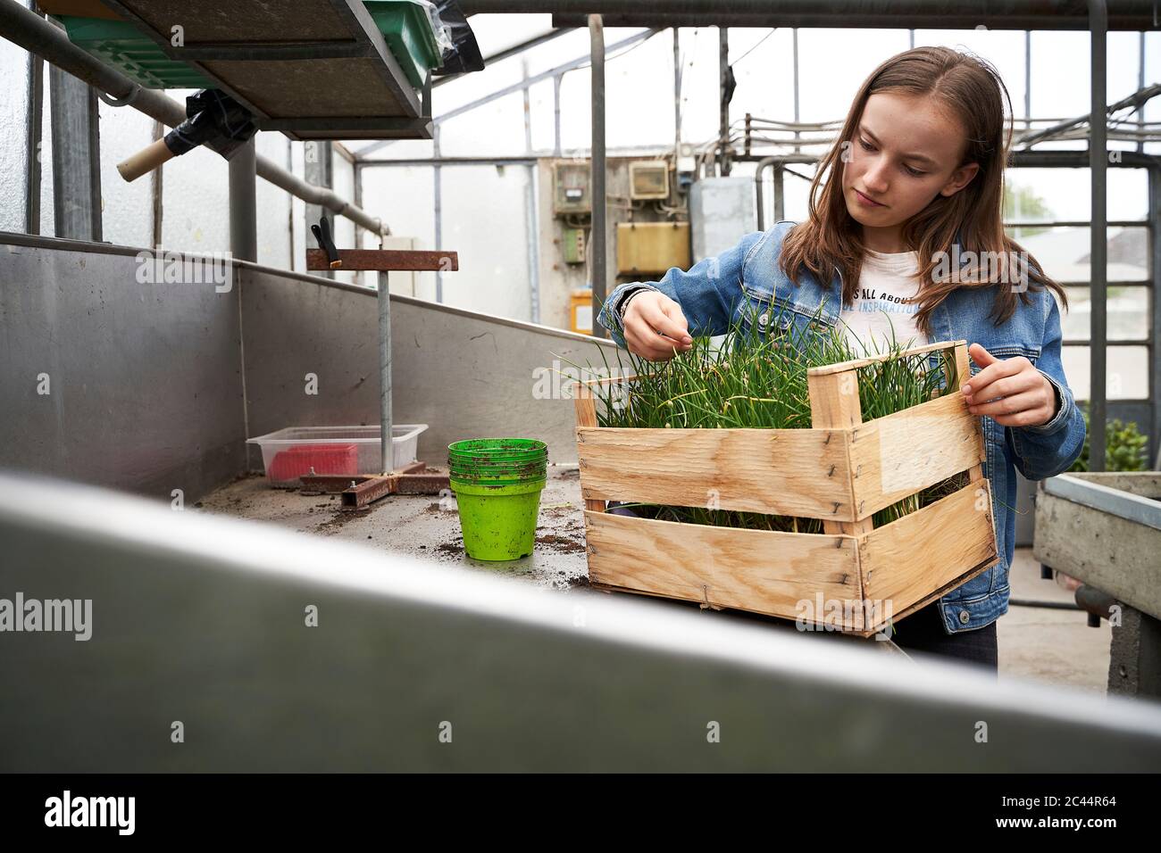 Girl in greenhouse hi-res stock photography and images - Alamy