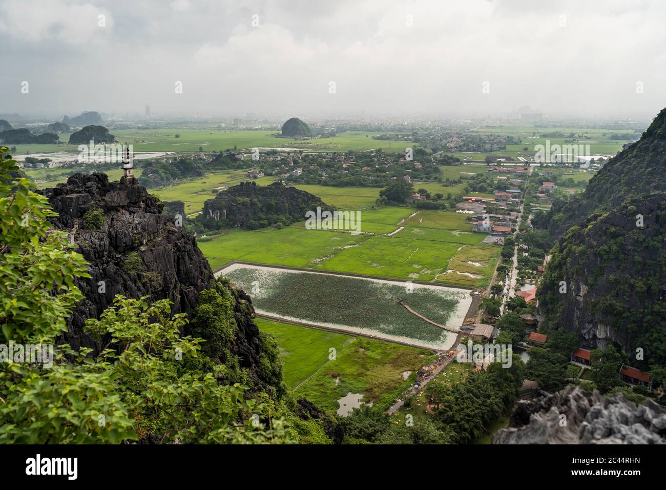 Vietnam, Ninh Binh Province, Ninh Binh, Rice paddy in Hong River Delta Stock Photo
