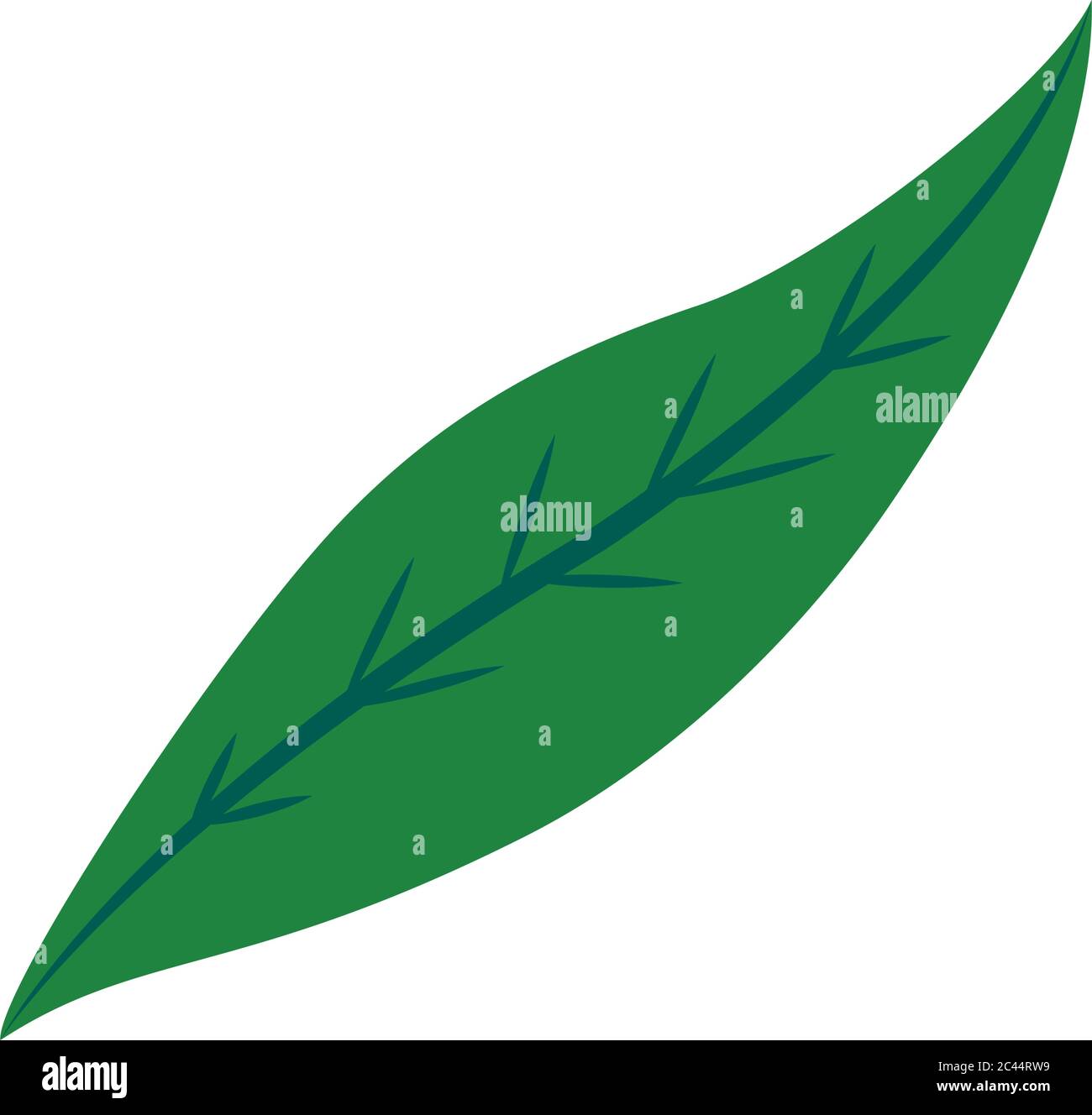 leaf icon over white background, flat style, vector illustration Stock ...