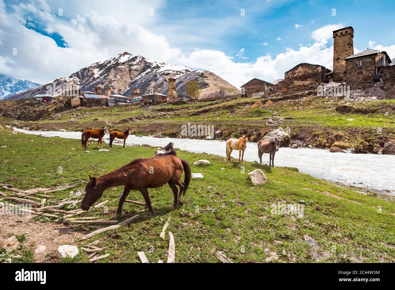 Georgia, Svaneti, Ushguli, Horses grazing along bank of Enguri River with medieval village in background Stock Photo