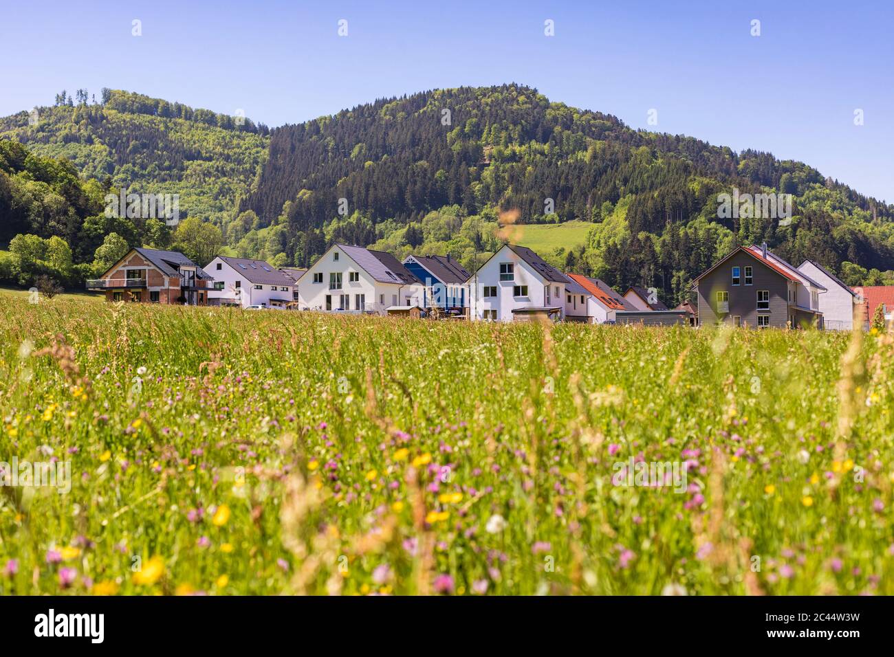 Buchenbach High Resolution Stock Photography And Images Alamy