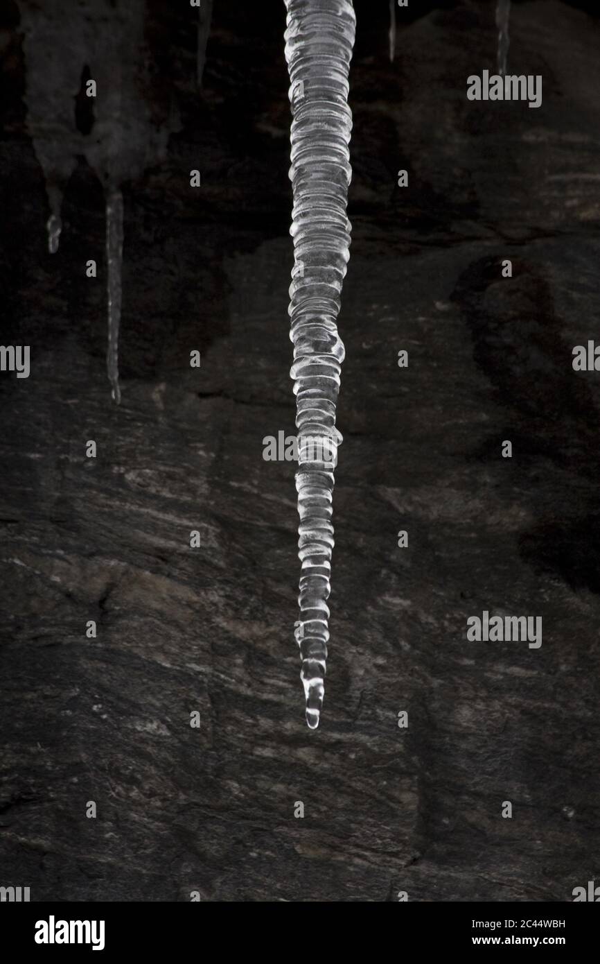 Closeup shot of a hanging icicle on blurred background Stock Photo