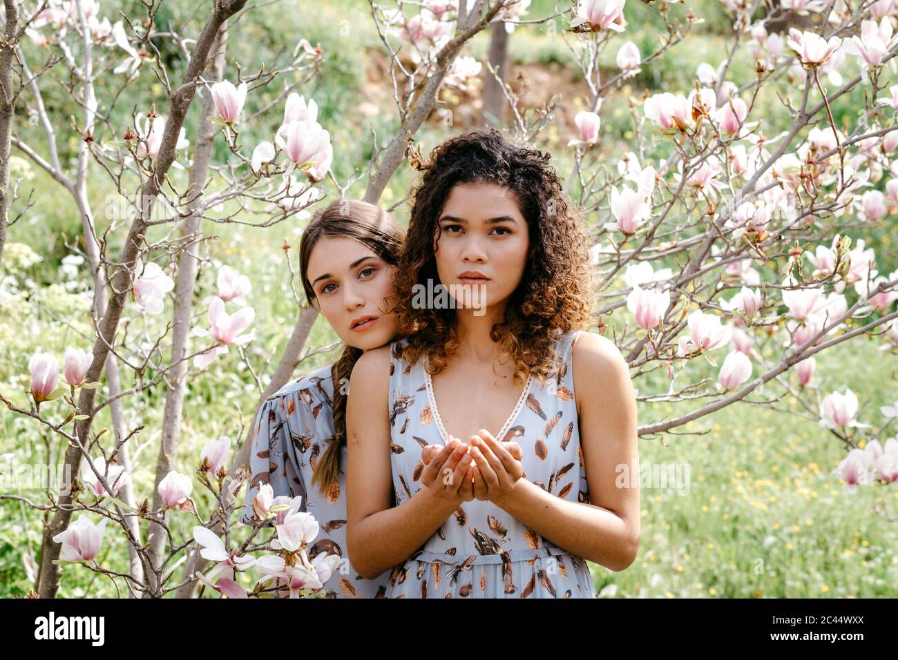Loving sisters standing amidst flowers in park during springtime Stock Photo