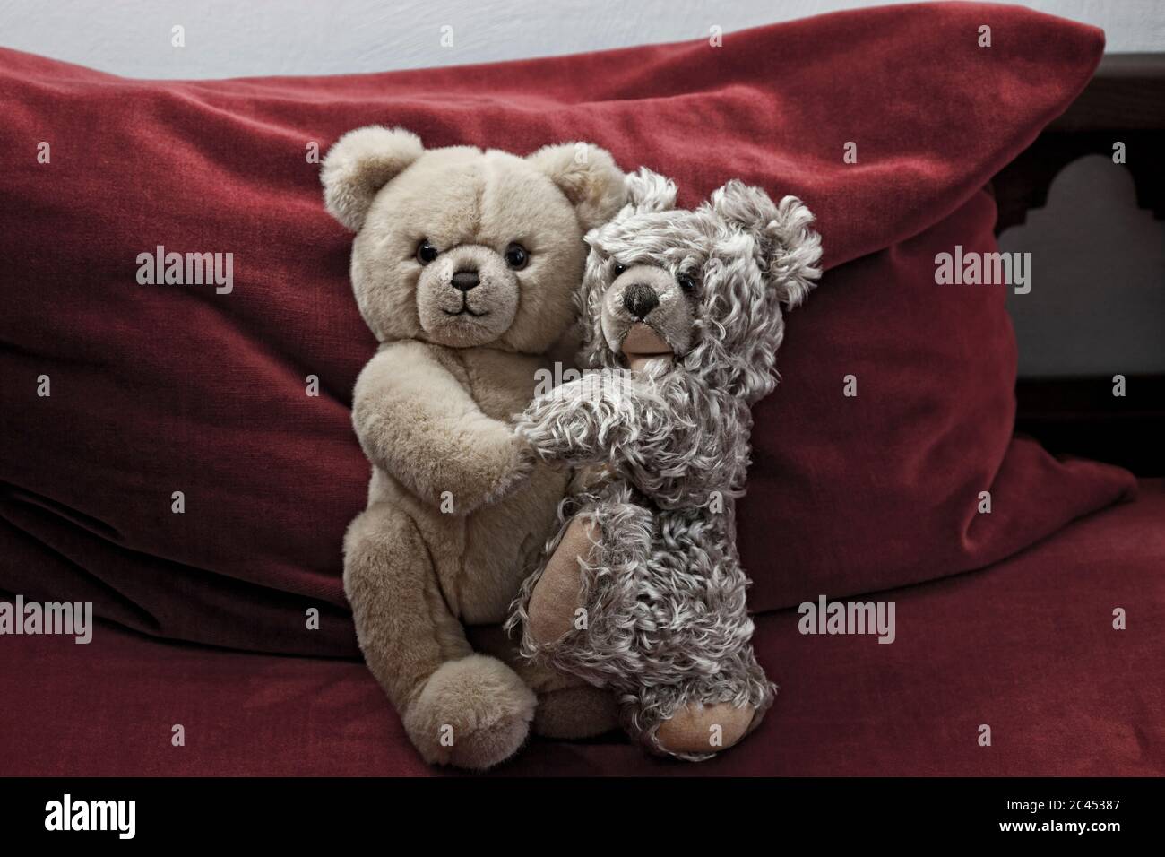 Two teddy bears sit side by side Stock Photo