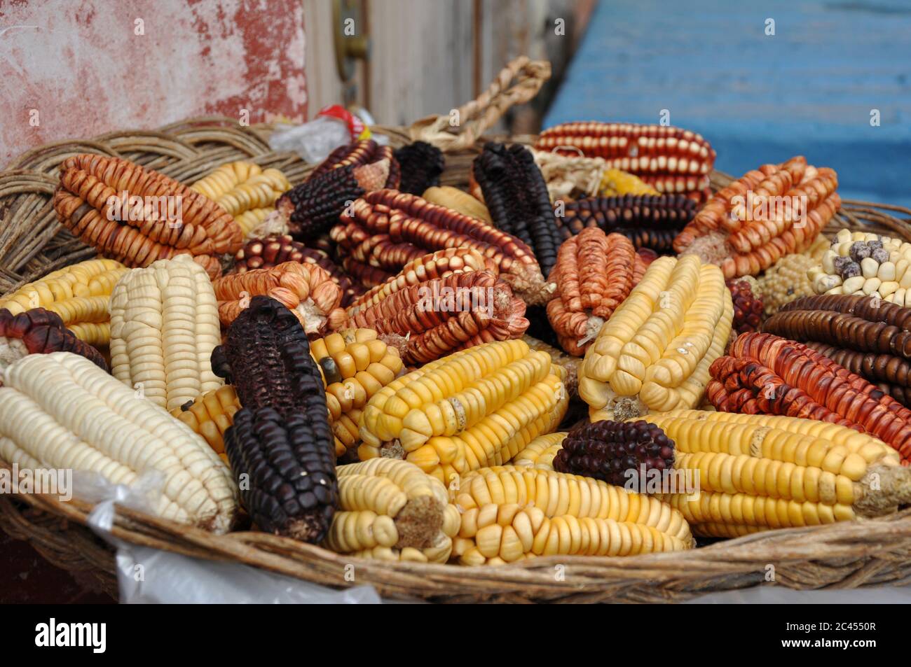 Different types of corn on the cob in a basket, Peru Stock Photo Alamy